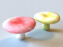 Colorful Mushrooms 3d model preview