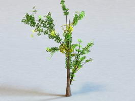 Generic Tree 3d model preview