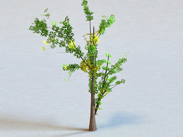 Generic Tree 3d rendering