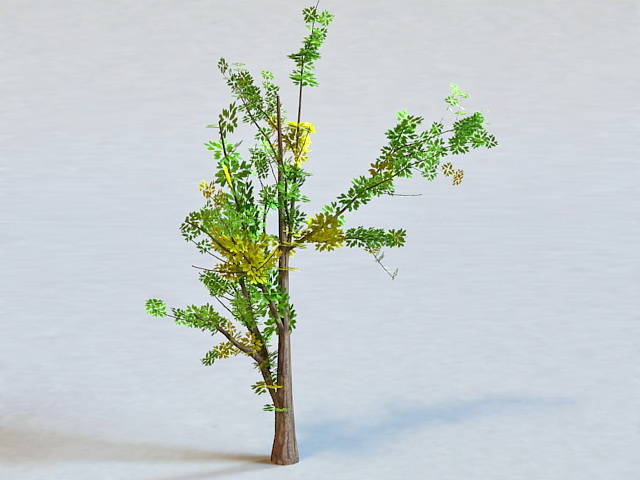 Generic Tree 3d rendering