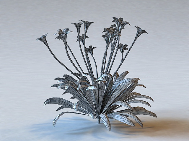 Canna Flowering Plant 3d rendering