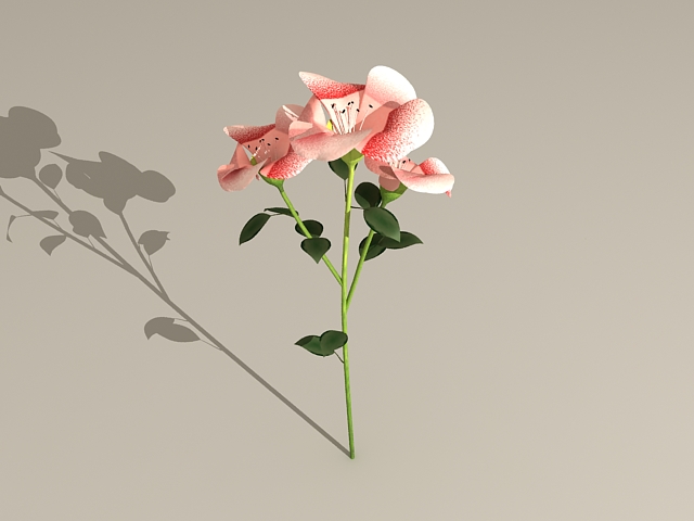 Flowering Branch 3d rendering