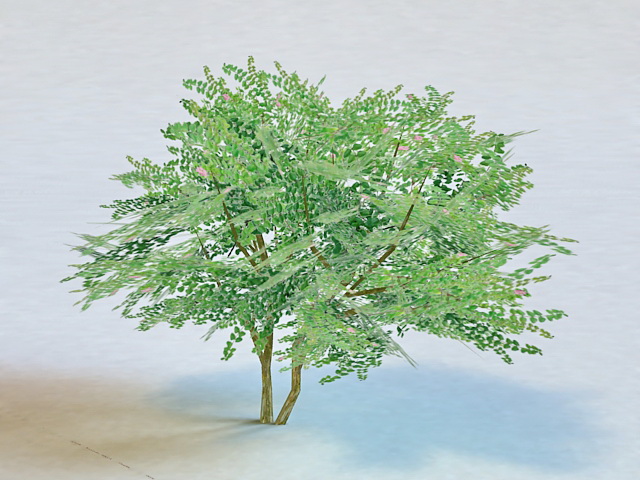 Low Poly Tree 3d rendering