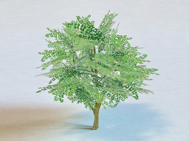 Low Poly Tree 3d rendering