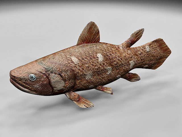 Coelacanth Fish 3d rendering