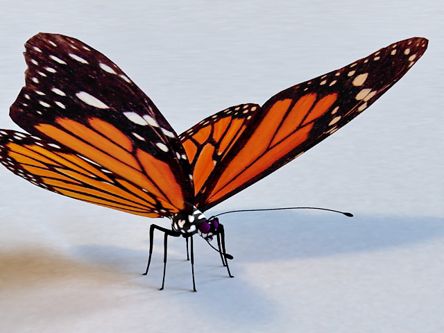 Mariposa Butterfly 3d rendering