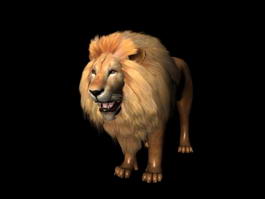 Male African Lion 3d model preview