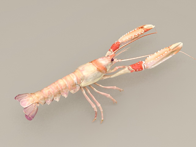 Clawed Lobster 3d rendering