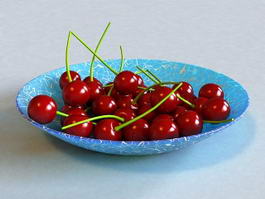 Sweet Cherry on Plate 3d model preview