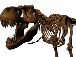 Skeleton Dinosaur Bones 3d model preview