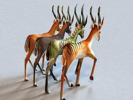 Animated Antelope 3d preview