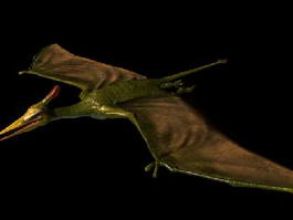 Pterosaur Flying Dinosaur Rigged 3d model preview
