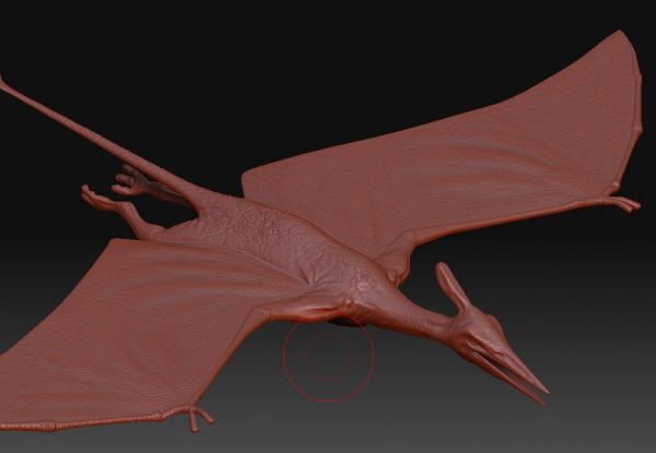 how to model a pterodactyl zbrush