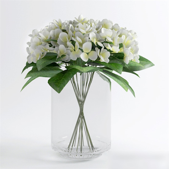 Glass Vase with Flowers 3d rendering
