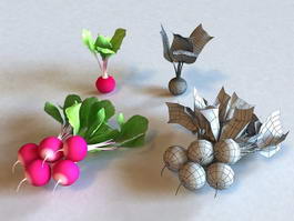 Growing Radishes 3d preview
