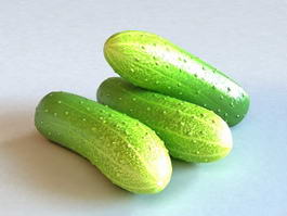 English Cucumbers 3d model preview