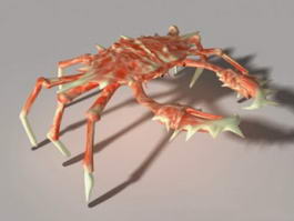 Spider Crab 3d model preview