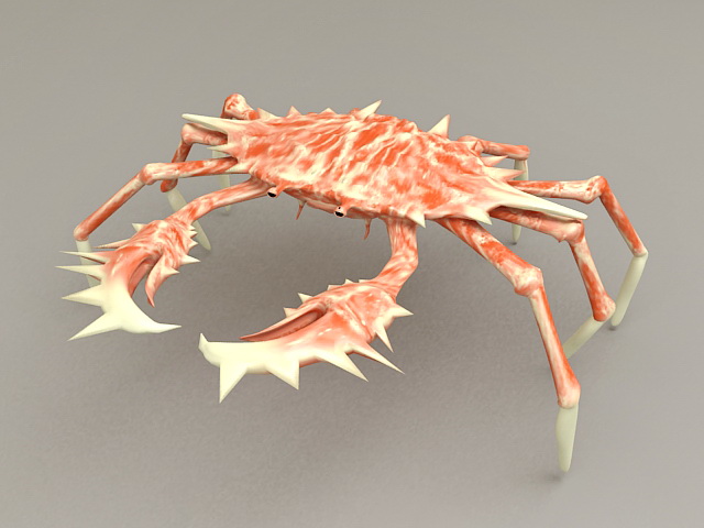 Spider Crab 3d rendering