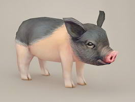 Miniature Pig 3d model preview