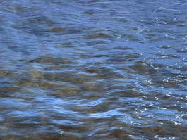 River Flowing Water 3d model preview
