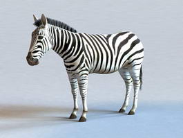Zebra Animal 3d model preview