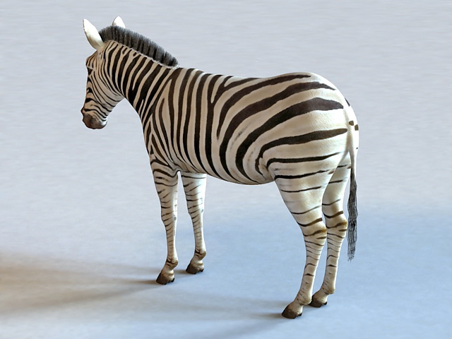Zebra Animal 3d rendering
