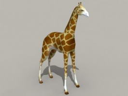 Giraffe Animal 3d model preview