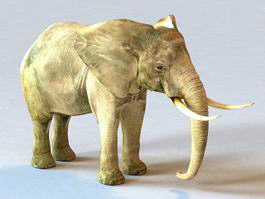 Male African Elephant 3d model preview