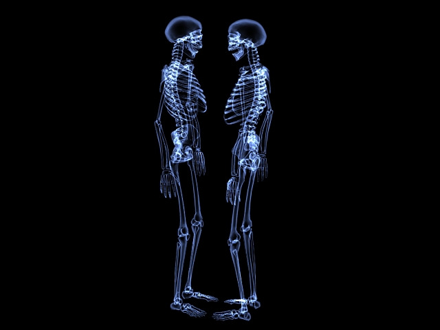 Transparent Human Skeleton 3d rendering
