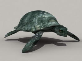 Green Tortoise 3d model preview