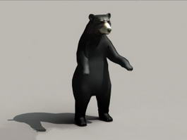 American Black Bear 3d model preview