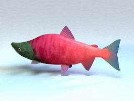 Alaska Sockeye Salmon 3d model preview