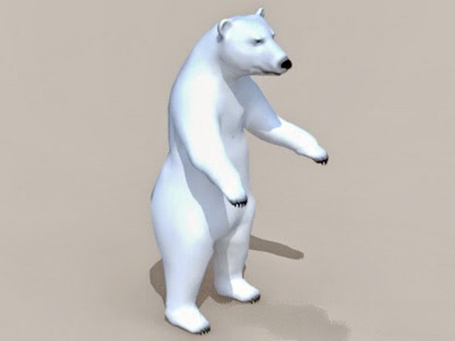 Tundra Animals Polar Bear 3d rendering