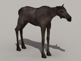 Female Moose 3d model preview