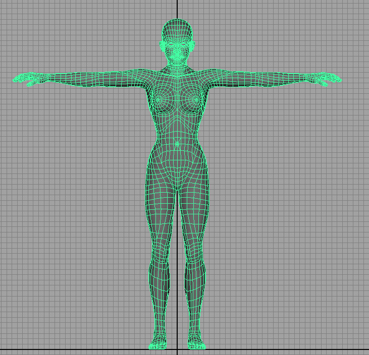 Female Body Base 3d rendering