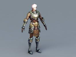Medieval Knight Male 3d preview