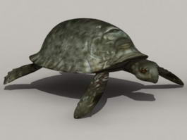 Snapping Tortoise 3d model preview