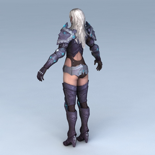 Female Paladin Concept 3d rendering