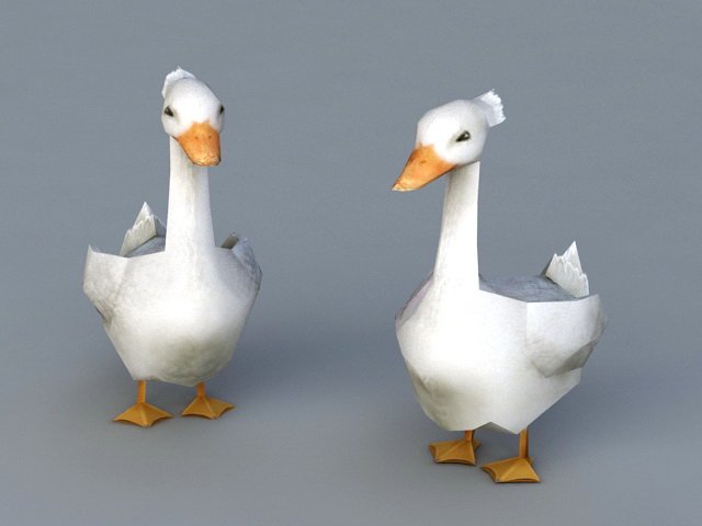 White Ducks 3d rendering