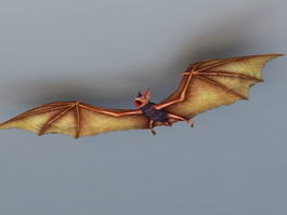Bat Animal 3d model preview