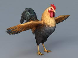 Beautiful Rooster 3d model preview
