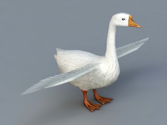 Domestic Goose 3d rendering