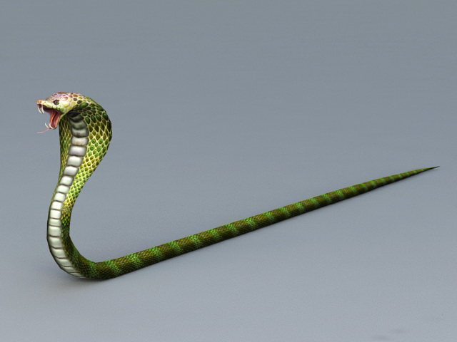Cobra Snake 3d model Object files free download - modeling 44849 on CadNav