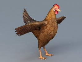 Red Hen Chicken 3d model preview