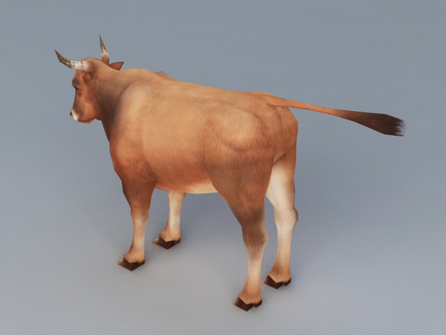 Beef Cattle 3d rendering