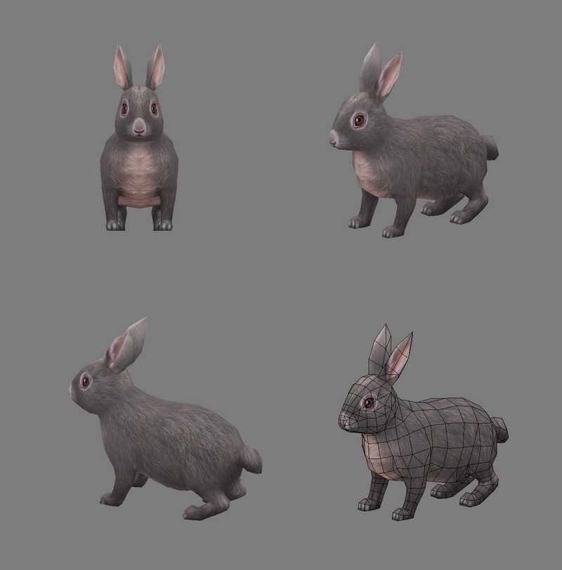 Rabbit Animal 3d model 3ds Max files free download