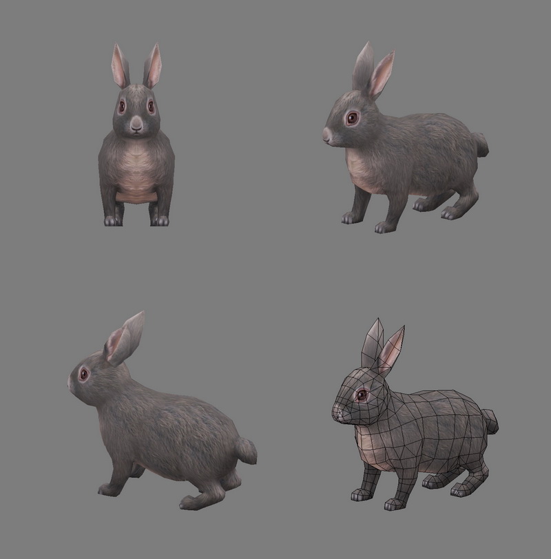 Rabbit Animal 3d model 3ds Max files free download 