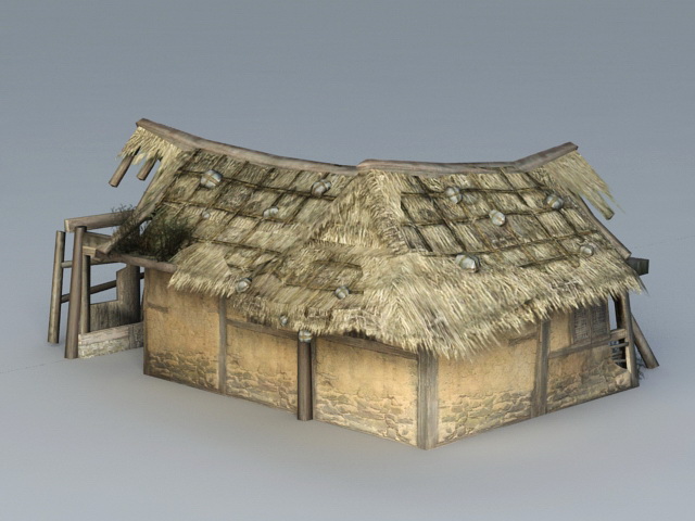 Broken Thatched Cottage 3d rendering