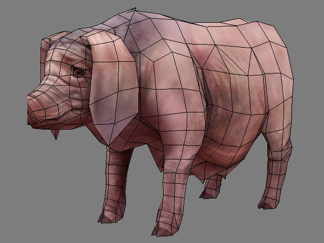 Female Pig Sow 3d rendering