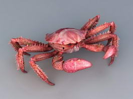Red King Crab 3d model preview
